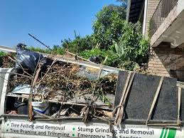 Best Residential Junk Removal  in Lansdowne, PA